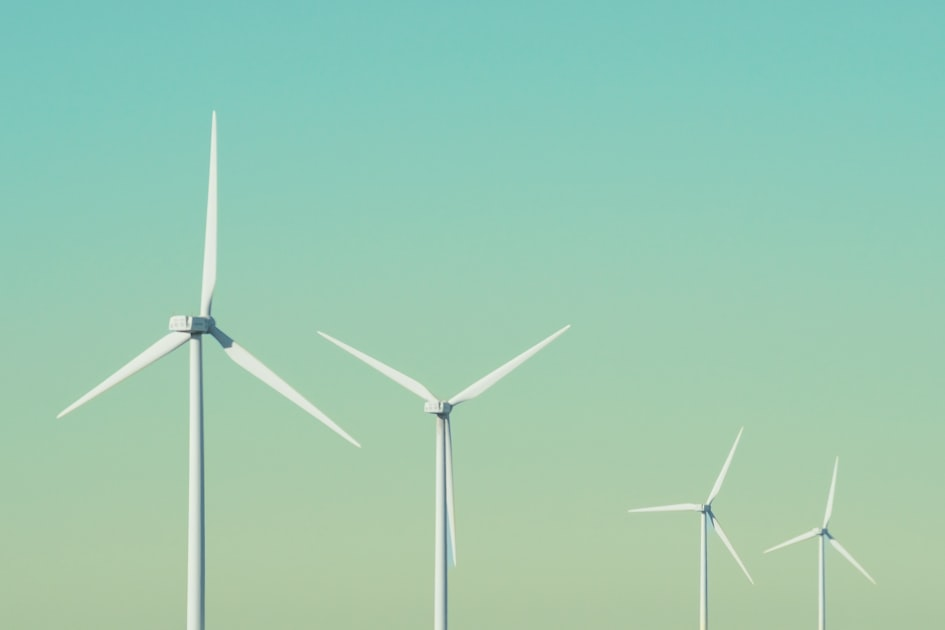 Why Invest in Renewable Domains?